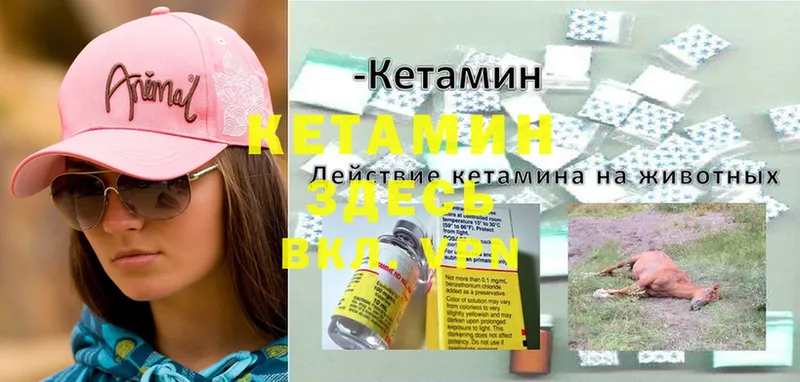 КЕТАМИН VHQ  omg рабочий сайт  Солигалич 