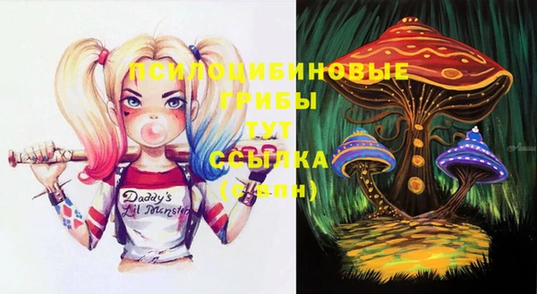дурь Приозерск