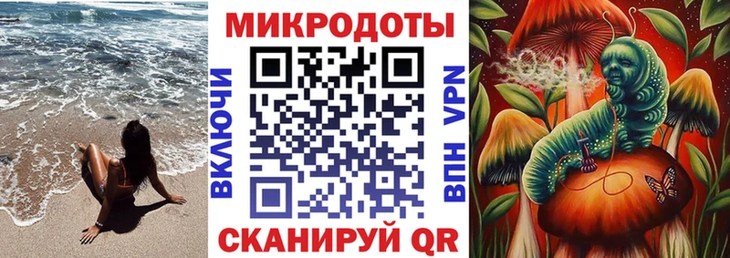 mega tor  Солигалич  Галлюциногенные грибы GOLDEN TEACHER 
